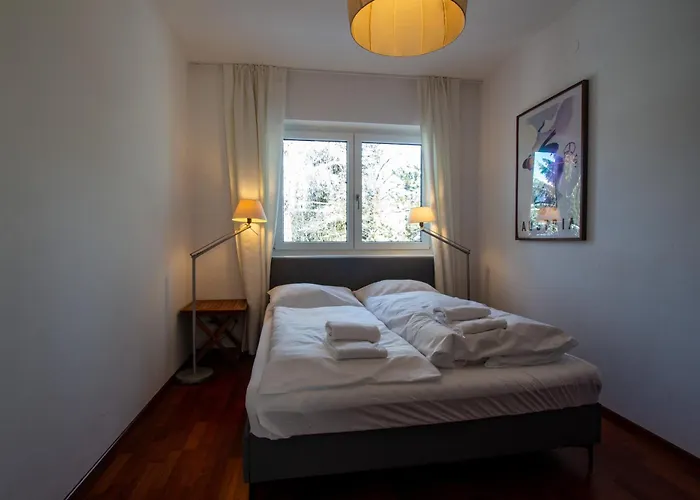 Falcon Kitzsteinhorn - Steinbock