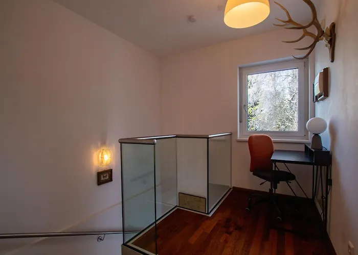 Falcon Kitzsteinhorn - Steinbock