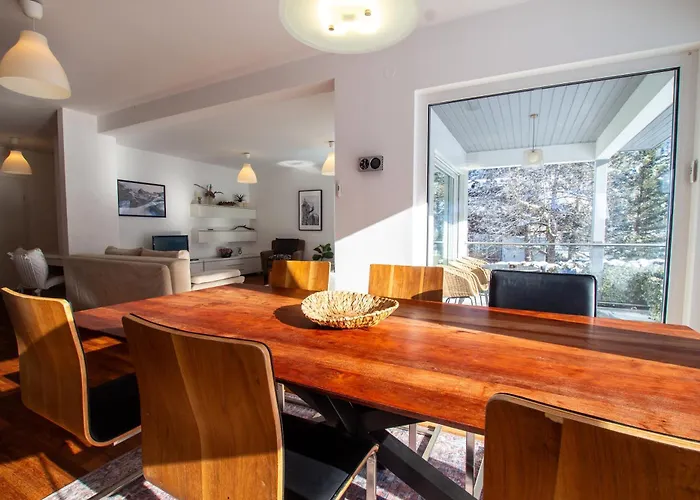 Falcon Kitzsteinhorn - Steinbock